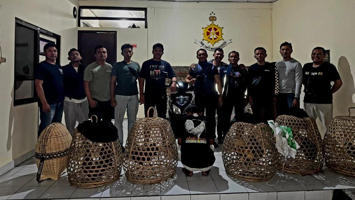 Remaja di Bangli Diamankan Polisi Terkait Pencurian Puluhan Anak Babi