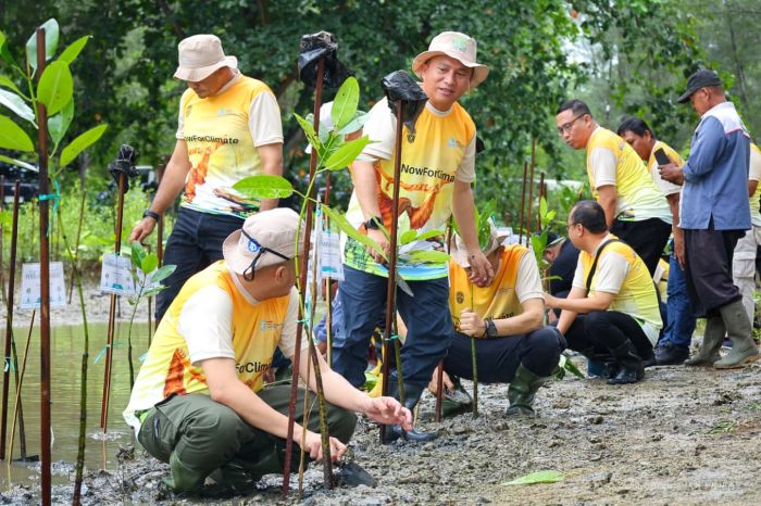 Aksi Bersih Pantai IKN Kumpulkan 202,7 Kg Sampah dan Tanam 350 Bibit Mangrove