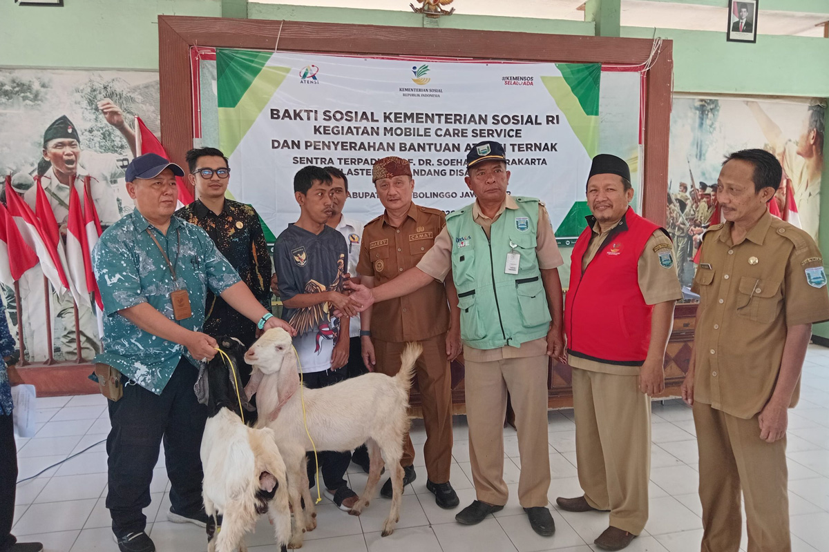 Bantuan Kambing Jadi Harapan Baru, Dinsos Probolinggo Dorong Kemandirian Ekonomi Warga Bantuan Kambing Jadi Harapan Baru, Dinsos Probolinggo Dorong Kemandirian Ekonomi Warga