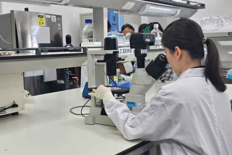NBF Perkuat Kapasitas Manufaktur Biofarmasi ASEAN Lewat Investasi US$80 Juta NBF Perkuat Kapasitas Manufaktur Biofarmasi ASEAN Lewat Investasi US$80 Juta