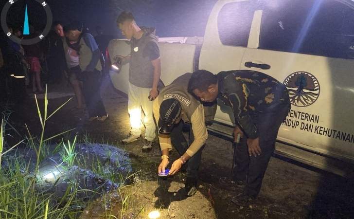 Pekerja Sawit di Pelalawan Tewas Diserang Harimau Sumatra, Jasad Ditemukan di Dalam Hutan Pekerja Sawit di Pelalawan Tewas Diserang Harimau Sumatra, Jasad Ditemukan di Dalam Hutan