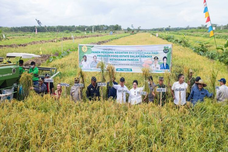 Bappenas: Swasembada Pangan Menjadi Dasar Transformasi Ekonomi Indonesia Bappenas: Swasembada Pangan Menjadi Dasar Transformasi Ekonomi Indonesia
