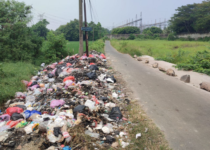 Terlibat Pembuangan Sampah Ilegal, Sejumlah Pihak Kena Denda Rp5 Juta Terlibat Pembuangan Sampah Ilegal, Sejumlah Pihak Kena Denda Rp5 Juta