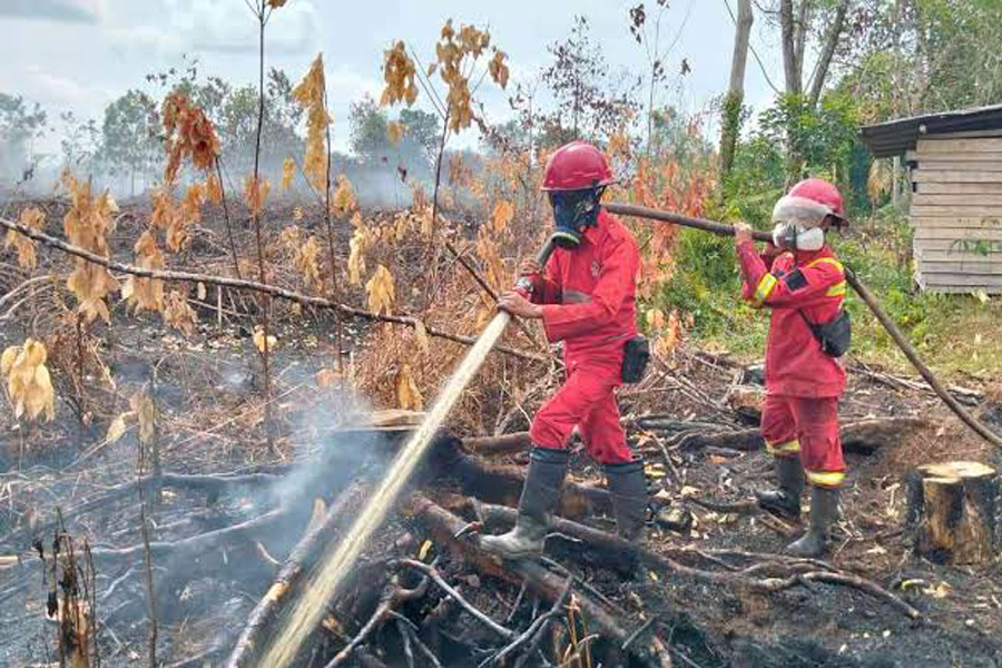 Kemensos Siapkan Bantuan Logistik dan Safe House untuk Warga Terdampak Karhutla