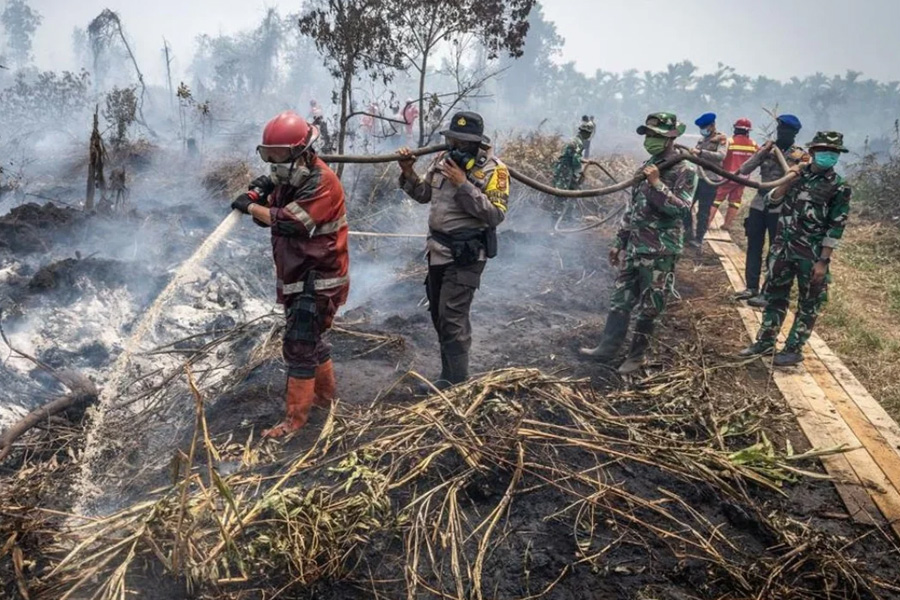 Karhutla Picu 13.449 Kasus ISPA, Kemenkes Kerahkan 848 Tenaga Kesehatan