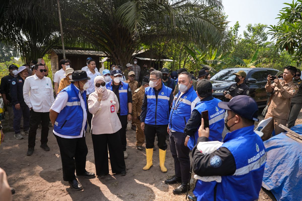 KLH Segel 50 Badan Usaha di 8 Provinsi, Lahan Konsesi Terbakar Capai 27.333 Hektare KLH Segel 50 Badan Usaha di 8 Provinsi, Lahan Konsesi Terbakar Capai 27.333 Hektare