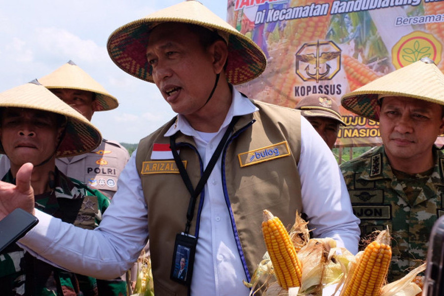 BULOG Siapkan Tambahan 150 Ribu Ton Jagung Pakan untuk Peternak hingga Desember