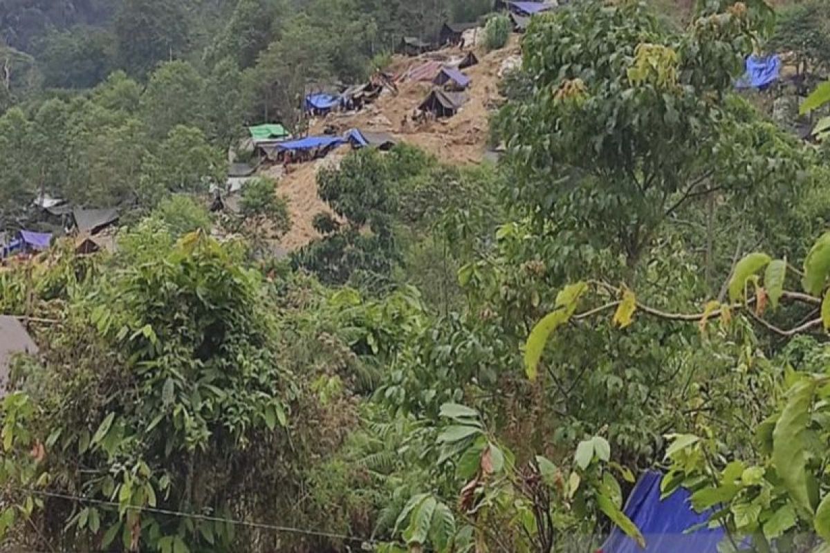 Longsor di Lokasi PETI Dongi-Dongi Poso, Sejumlah Penambang Dilaporkan Terluka Longsor di Lokasi PETI Dongi-Dongi Poso, Sejumlah Penambang Dilaporkan Terluka
