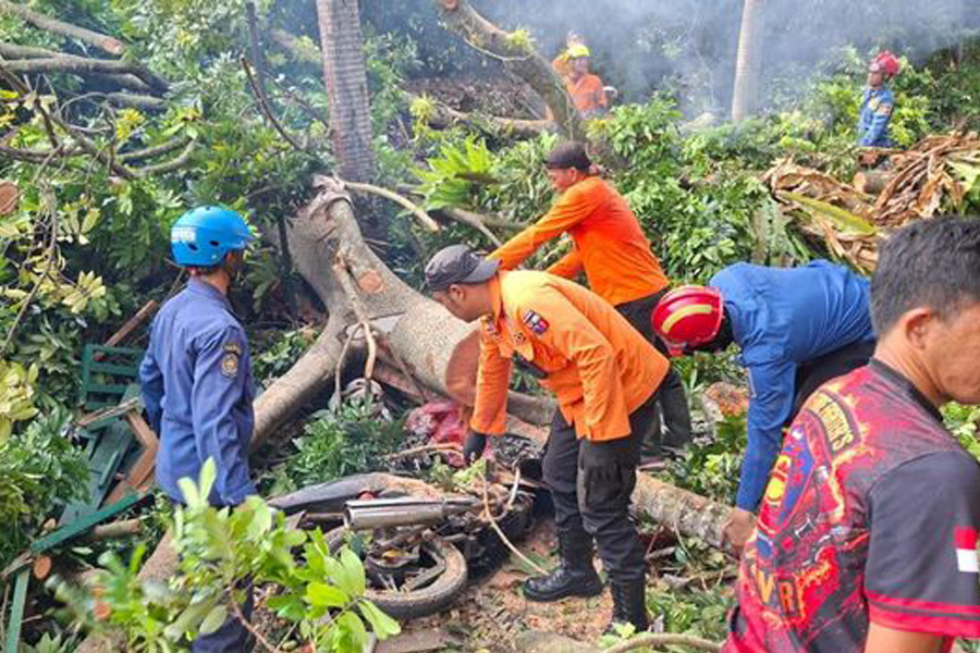 Pohon Tumbang di Baranangsiang Bogor Timpa Empat Warga dan Dua Motor Pohon Tumbang di Baranangsiang Bogor Timpa Empat Warga dan Dua Motor