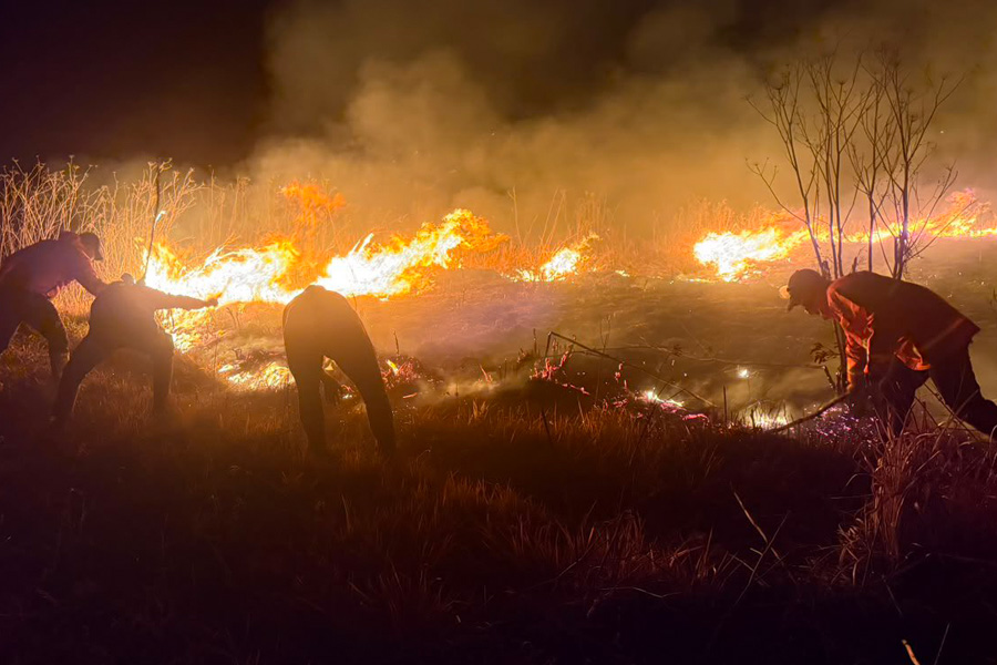 Kebakaran di Kawasan Bromo Tewaskan Tiga Petugas, Tiga Orang Alami Luka Bakar Kebakaran di Kawasan Bromo Tewaskan Tiga Petugas, Tiga Orang Alami Luka Bakar