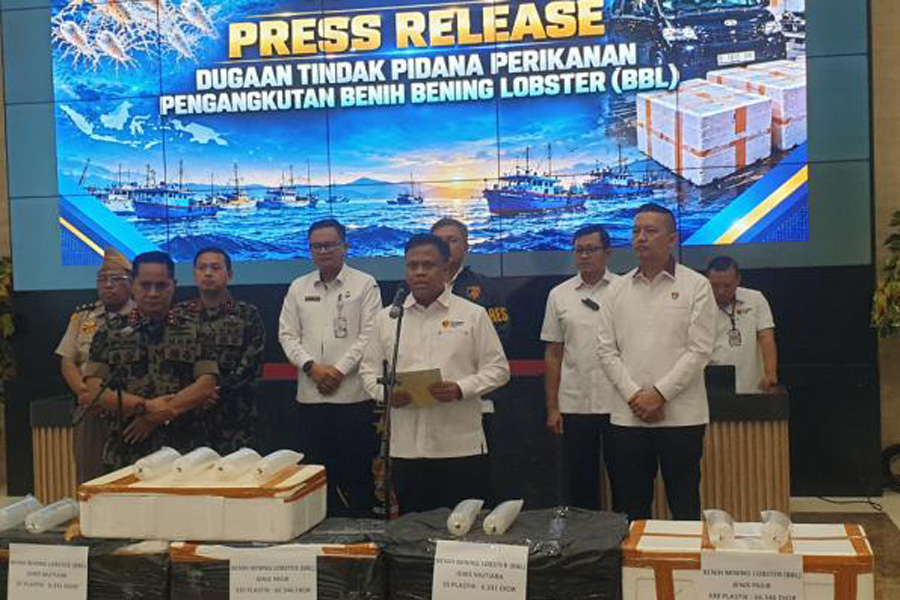 Bareskrim Ungkap Penampungan Benih Lobster Ilegal di Depok, Kedok Toko Buah Bareskrim Ungkap Penampungan Benih Lobster Ilegal di Depok, Kedok Toko Buah