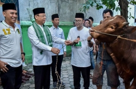 Serentak di Seluruh Indonesia, PPP Salurkan Lebih 100 Hewan Kurban