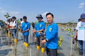 PT BPI Siapkan 30.000 Bibit Mangrove untuk Rehabilitasi Pesisir Batang 2026