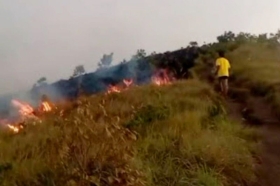 Bukit Sempana Sembalun Terbakar, Puluhan Pendaki Dievakuasi Selamat