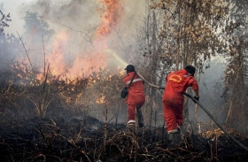 Karhutla 2026 Jadi Sorotan, Menko Polkam Tegaskan Kapolda dan Pangdam Dievaluasi Jika Gagal Cegah Kebakaran