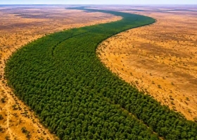 Afrika Bangun Tembok Hijau Sepanjang 8.000 Kilometer untuk Hadapi Perubahan Iklim