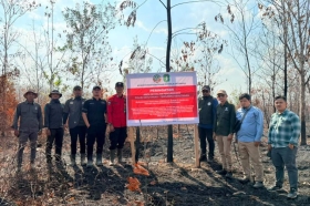 Lima Perusahaan di Kalbar Kena Sanksi Usai Konsesinya Terbakar